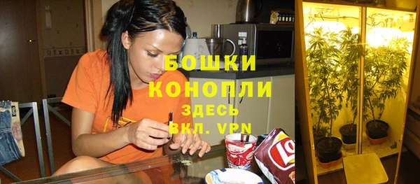 каннабис Аркадак