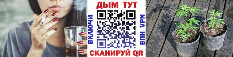 как найти закладки  Бавлы  даркнет как зайти  Каннабис планчик 